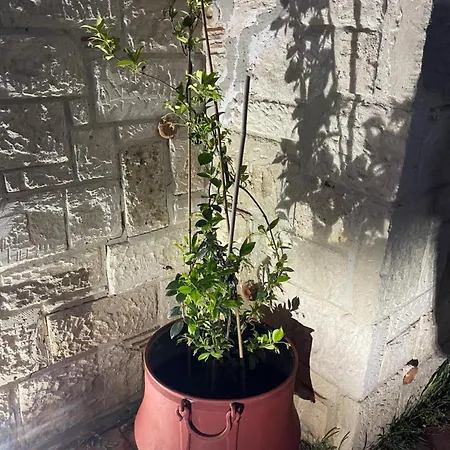 Amazing Place Villa Áfitosz