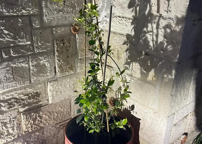 Amazing Place Villa Afytos